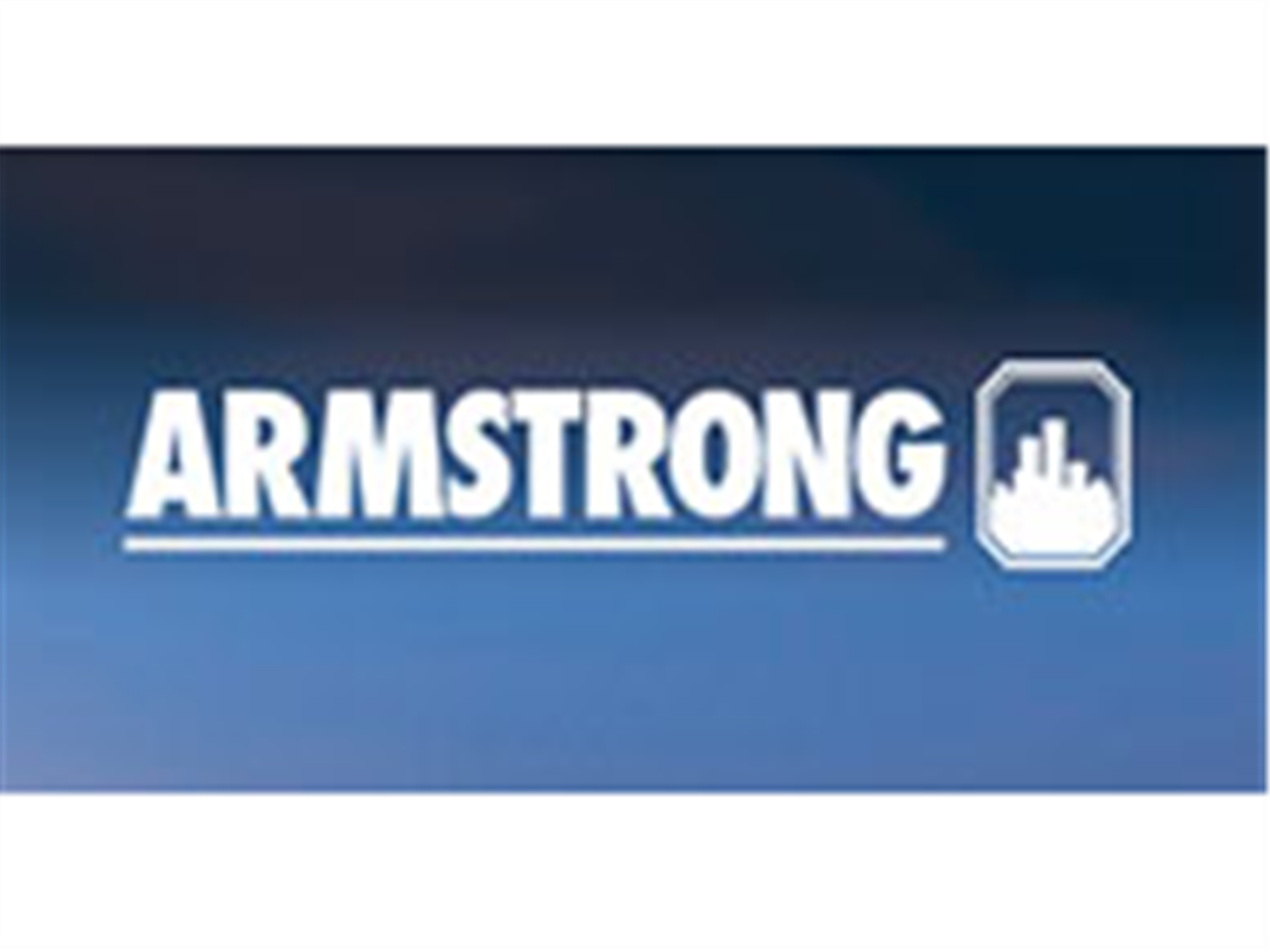 美國ARMSTRONG閥門(mén)