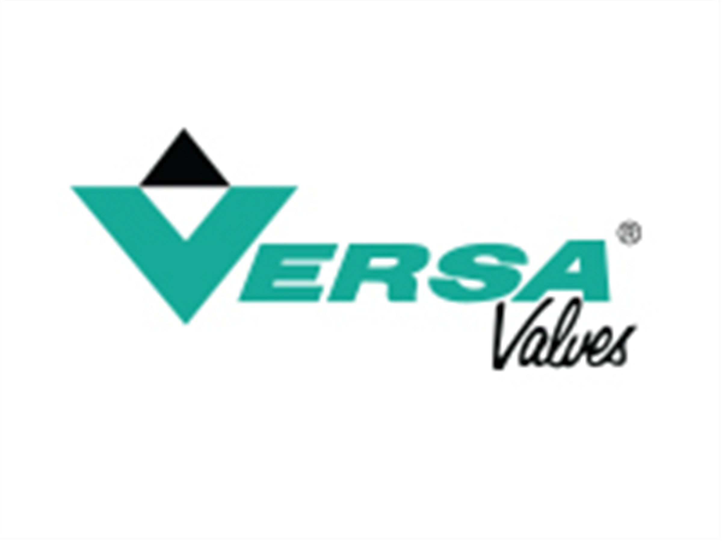 美國VERSA閥門(mén)