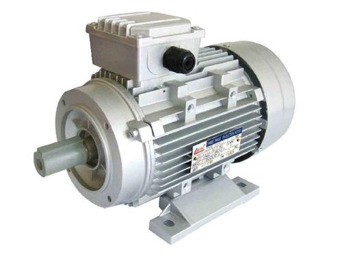 荷蘭ROTOR振動(dòng)電機