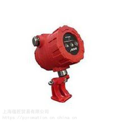 德國B(niǎo)FI探測器