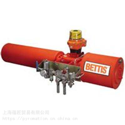美國B(niǎo)ettis液動(dòng)執機構