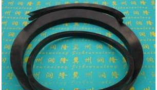 德國B(niǎo)usak+Shamban組合式密封圈