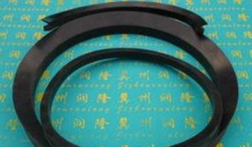 德國B(niǎo)usak+Shamban組合式密封圈
